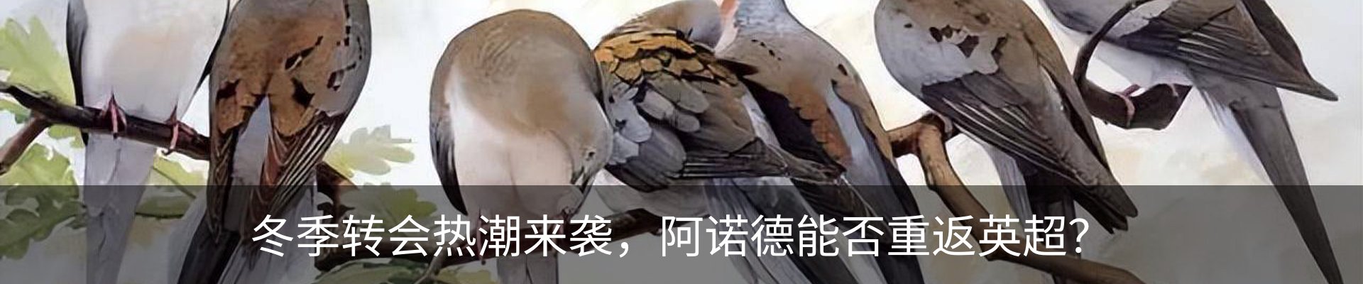 内页banner